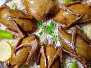بيض فر  فر مذبوح زغاليل