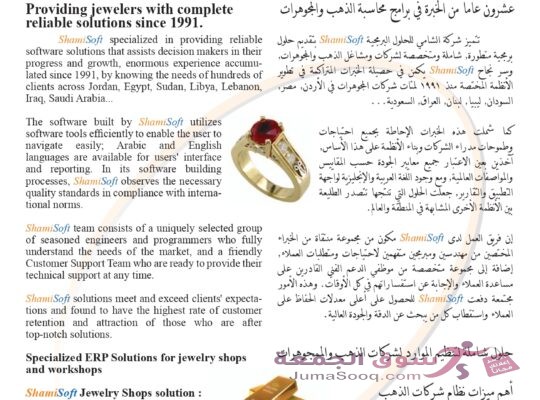 حلول شاملة لتنظيم موارد المنشآت والمصانع (ERP Solutions) من الشامي للحلول البرمجية